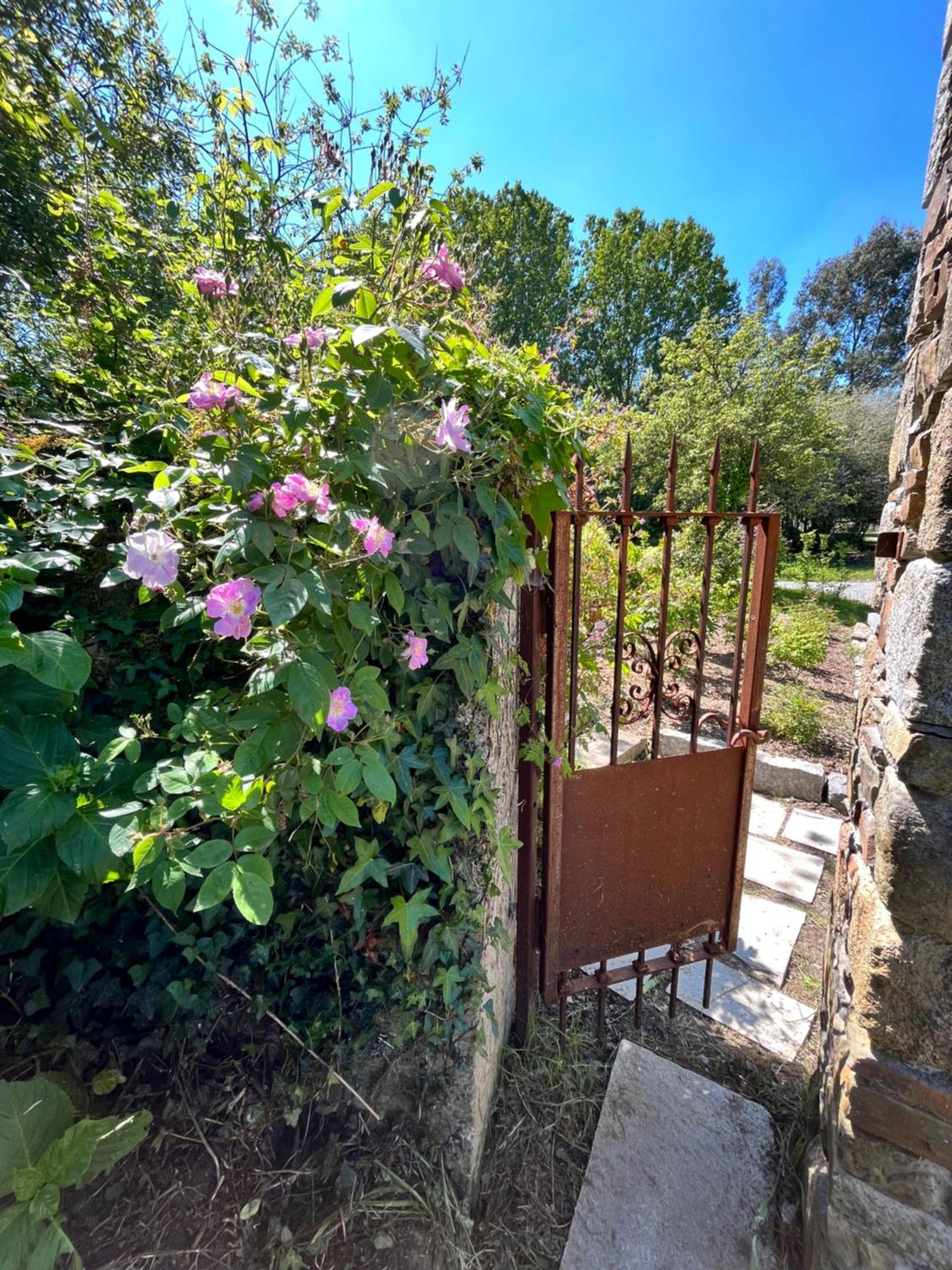 Hotel Domaine Du Tertre Ychot Dol-de-Bretagne Esterno foto
