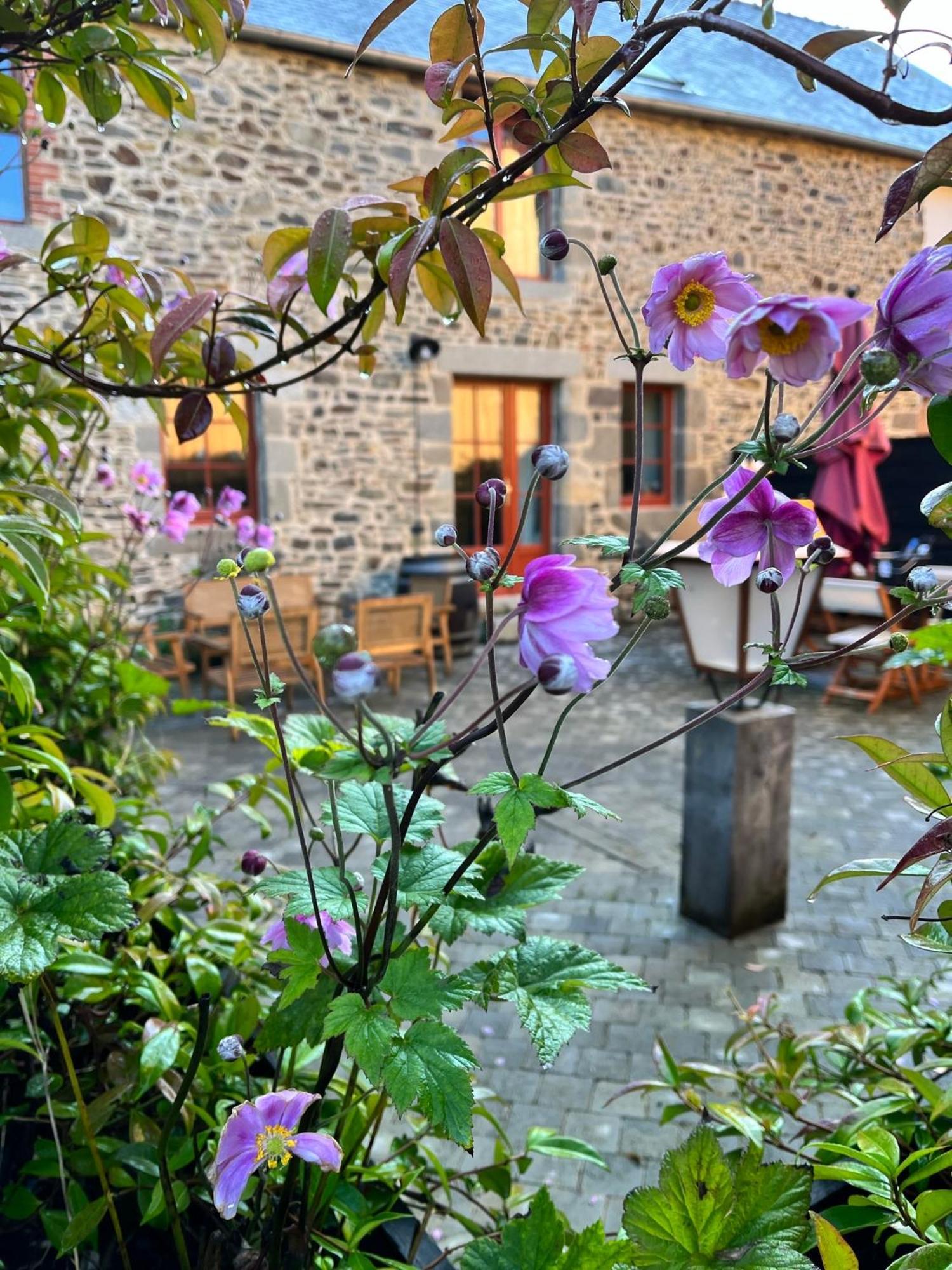 Hotel Domaine Du Tertre Ychot Dol-de-Bretagne Esterno foto
